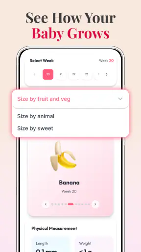 Pregnancy Tracker: Baby Growth