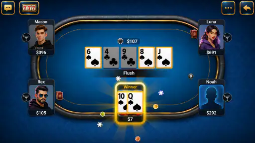 Texas Holdem Poker Pro