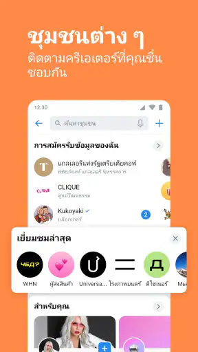 VK: เครือข่ายสังคม