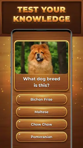Wood Quiz Blast: Trivia Blocks