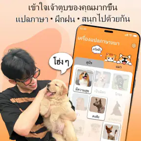 นักแปลจากคนเป็นสุนัข: พูดคุย