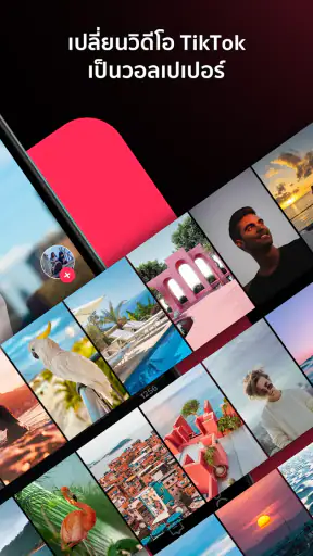 รูปพื้นหลังโดย TikTok