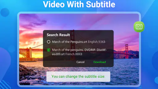เครื่องเล่นวิดีโอทุกรูปแบบ HD