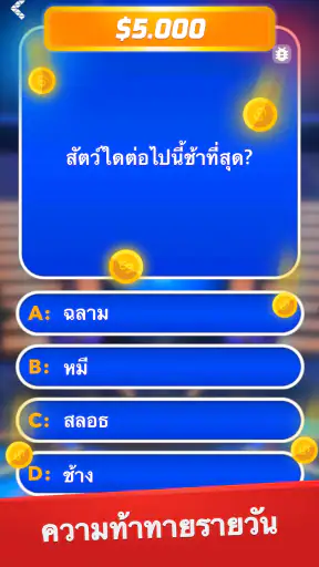 เศรษฐี - ตอบคำถามและเบ็ดเตล็ด