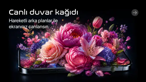 3D, 4D Canlı Duvar Kağıtları