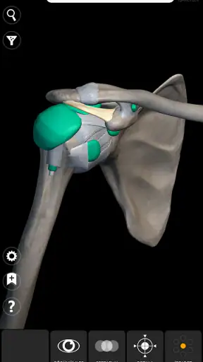 Anatomi 3D Atlası