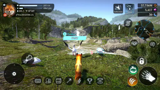 Animal Game: Hayvan Simülatörü