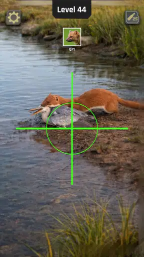 Animal Hunter: Wild Shooting
