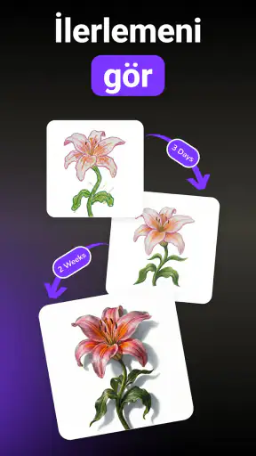 ARtie Lab: AR Drawing & Sketch