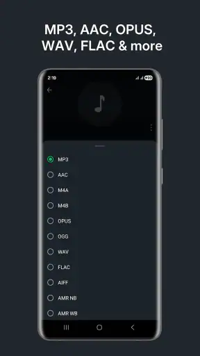 Audio Converter (MP3 AAC OPUS)
