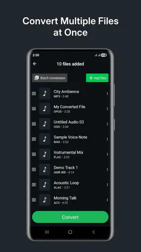 Audio Converter (MP3 AAC OPUS)