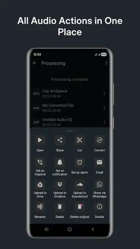 Audio Converter (MP3 AAC OPUS)