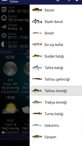 Balık tutma tahmini