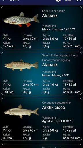 Balık tutma tahmini