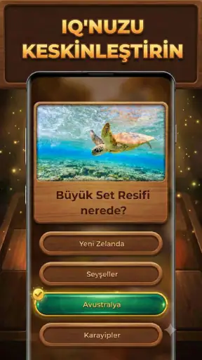 Bilgi Ağacı: Trivia Blocks