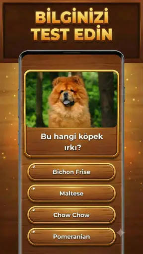 Bilgi Ağacı: Trivia Blocks