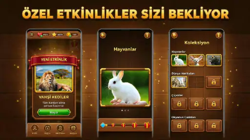 Bilgi Ağacı: Trivia Blocks
