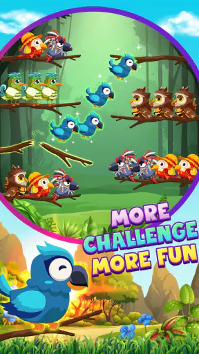 Bird Sort 2: Color Puzzle