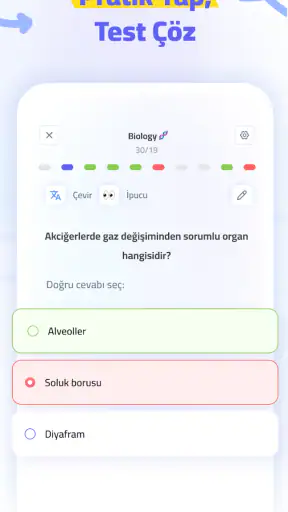 Bites