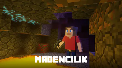 Block World 3D: El İşi & İnşa