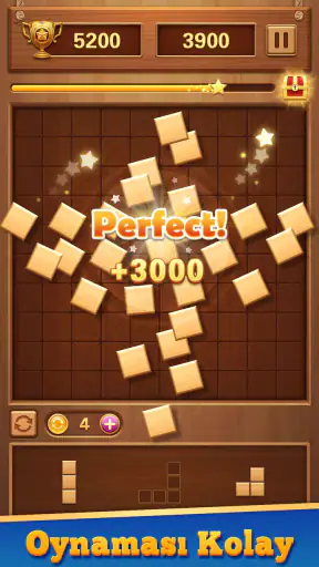 Blok Bulmaca Ahşap Blast