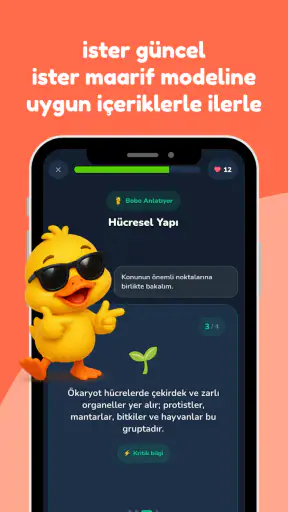 Bobo - YKS Hazırlık