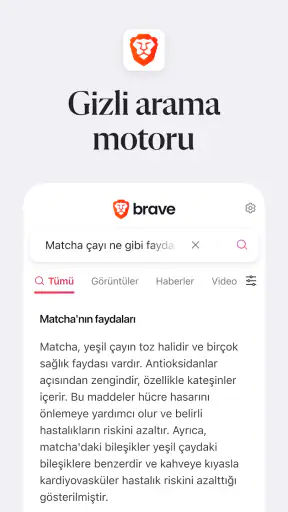 Brave Hızlı Web Tarayıcı, VPN