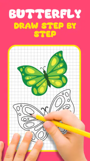 Butterfly Draw Step by Step