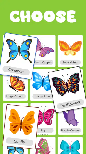 Butterfly Draw Step by Step