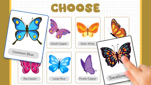 Butterfly Draw Step by Step