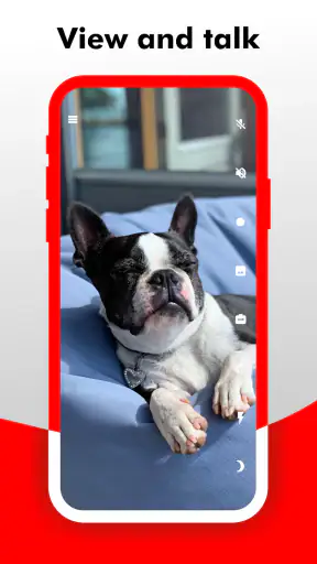 Camy-Canlı Video ve İzleme