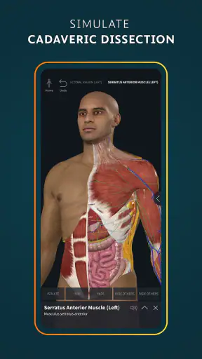 Complete Anatomy - 3D'de Öğren