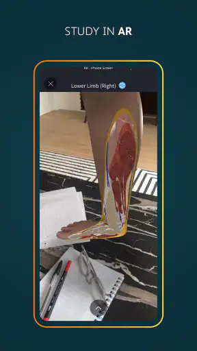 Complete Anatomy - 3D'de Öğren