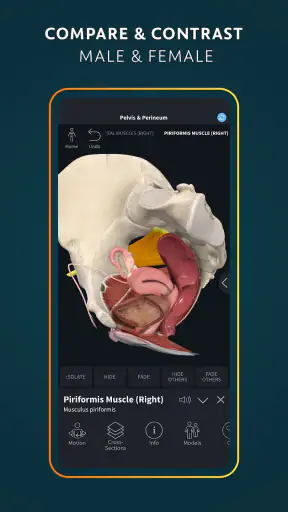 Complete Anatomy - 3D'de Öğren