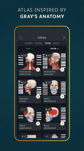 Complete Anatomy - 3D'de Öğren