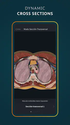 Complete Anatomy - 3D'de Öğren