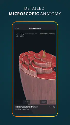 Complete Anatomy - 3D'de Öğren