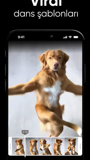 Dance AI: AI Dans Videoları