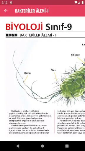 Dersler Cepte