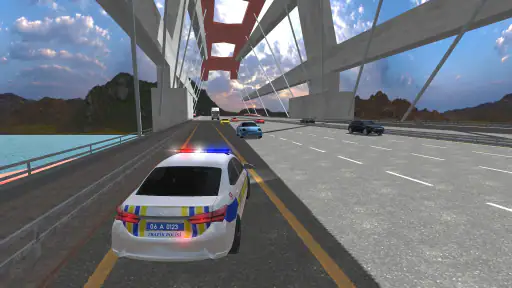 Devriye: Türk Polis Oyunu