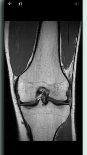 DICOM Viewer