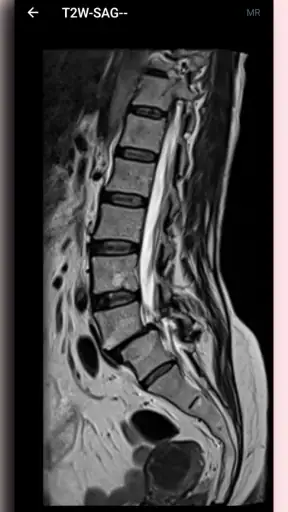DICOM Viewer