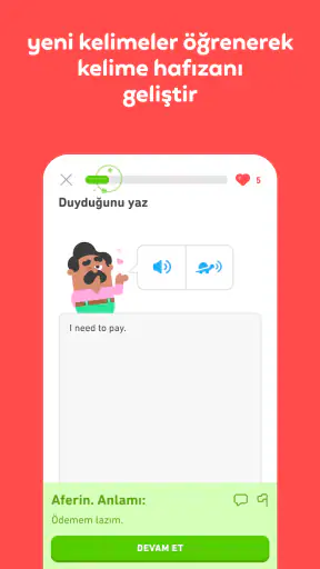 Duolingo: Dil öğrenme