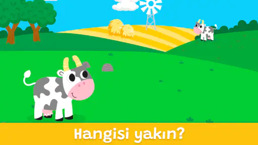 5 yaş eğitici oyunlar Şekiller