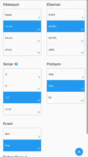 FAST Gebelik Haftası Hesaplama