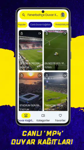 Fenerbahçe Duvar Kağıtları