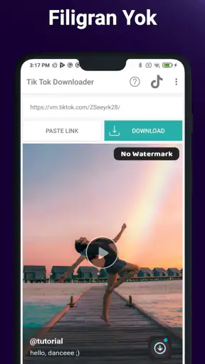 Filigransız TT Video indir