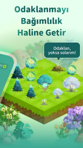 Forest - Odaklan