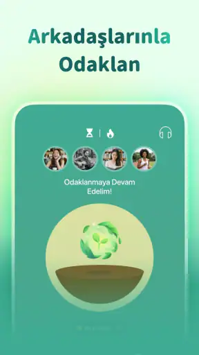 Forest - Odaklan
