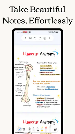 Freenotes: AI Notlar & PDF